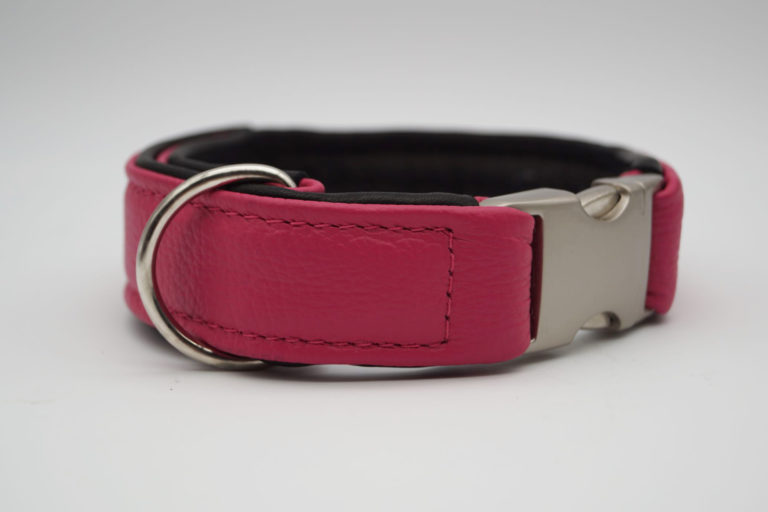 Grünes Halsband Mit Glöckchen – Weiches PU-Leder, Verstellbar Für Katzen & Kleine Hunde (XXS–M)