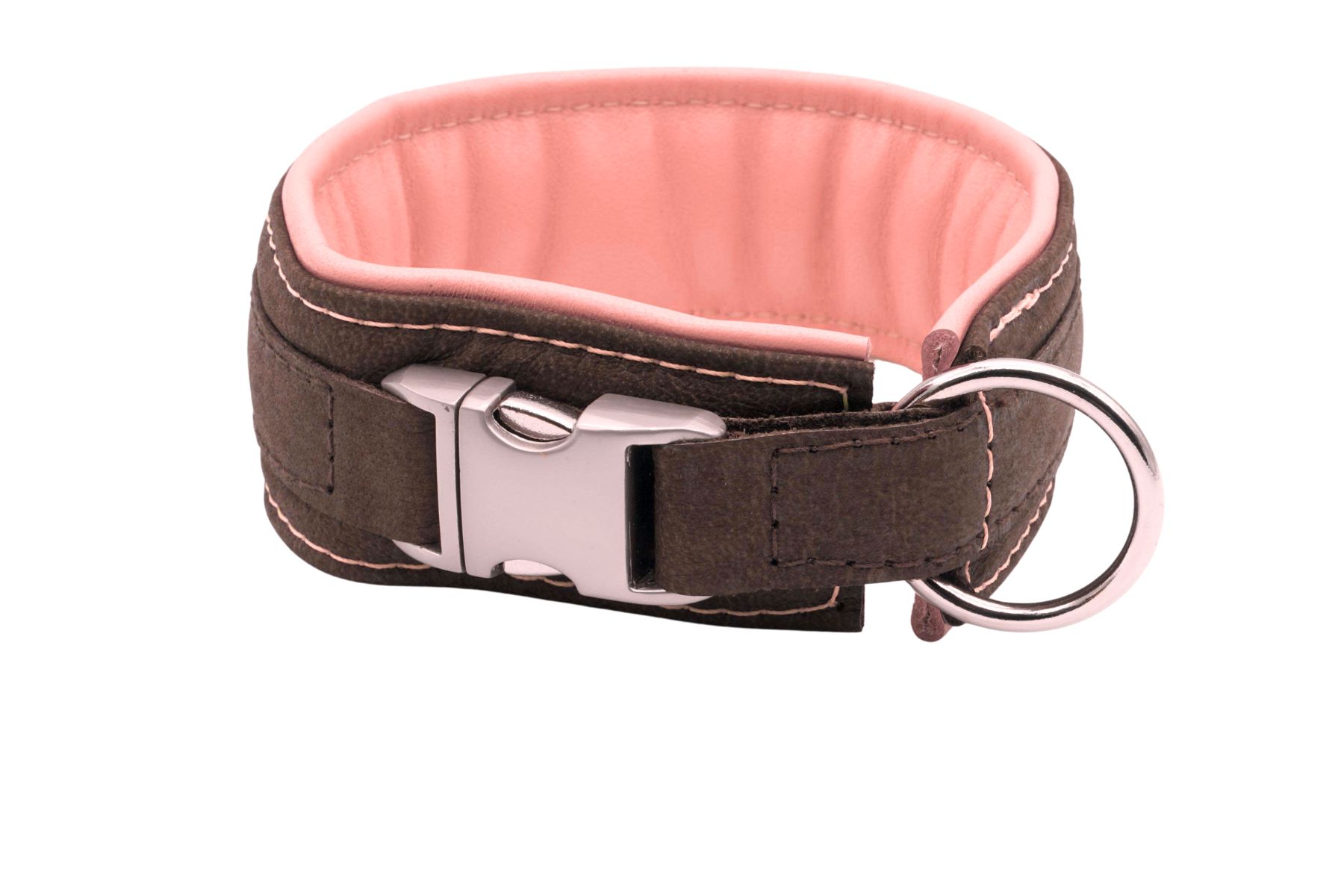 Windhunde_büdbr-rosa_2