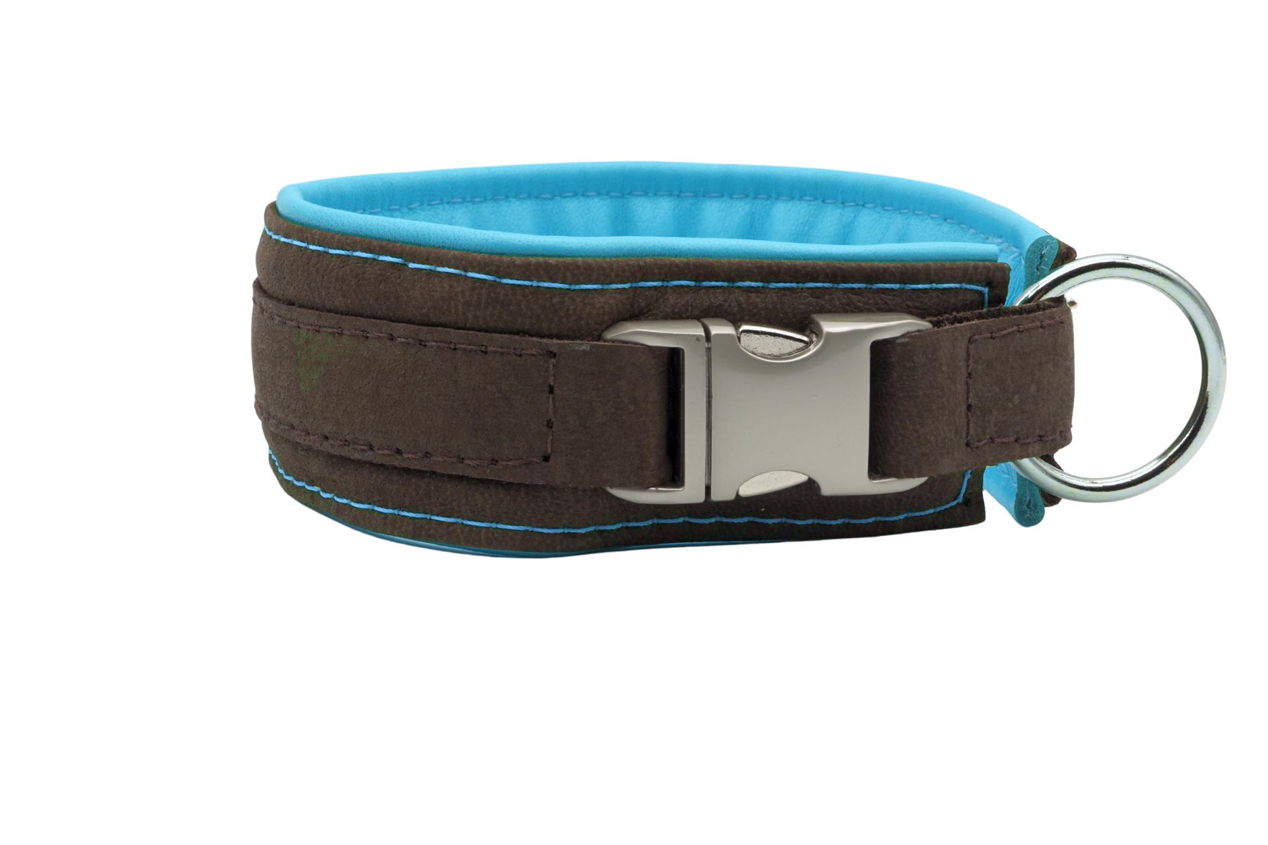 Windhunde_büsbr-ice_2