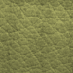 4-Kiwi grün 23